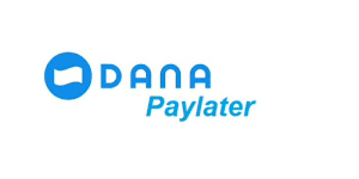 Cara Menggunakan Dana Paylater