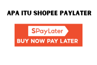 apa itu Shopee Paylayter