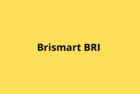 brismart bri