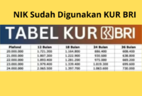 nik sudah digunakan kur bri