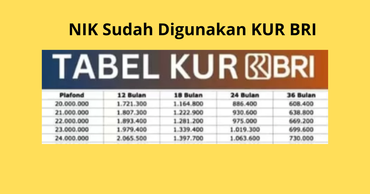 nik sudah digunakan kur bri