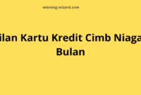 Cicilan Kartu Kredit CIMB Niaga 24 Bulan: Solusi Belanja Nyaman
