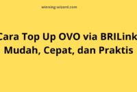 Cara Top Up OVO BRILink: Mudah, Cepat, dan Praktis