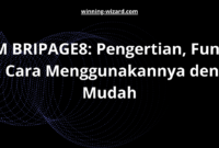 ATM BRIPAGE8: Pengertian, Fungsi, dan Cara Menggunakannya dengan Mudah
